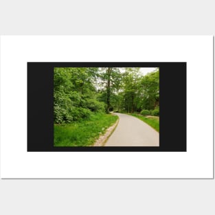 Curved path in valley garden Posters and Art